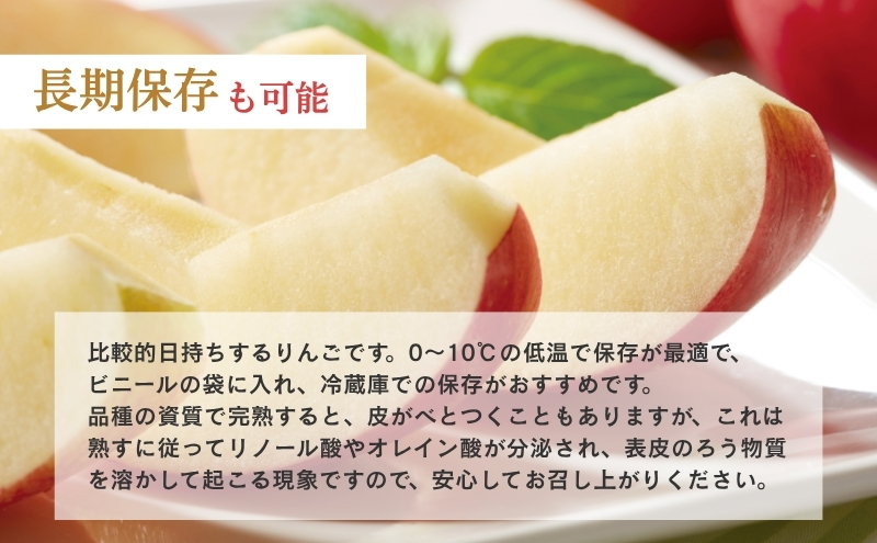 りんご 長野 贈答用 リンゴ シナノスイート 約3kg （12玉） 産地直送 ギフト プレゼント 贈答 贈答品 贈り物 フルーツ 果物 デザート 林檎 秋 旬 信州 長野県 長野県産