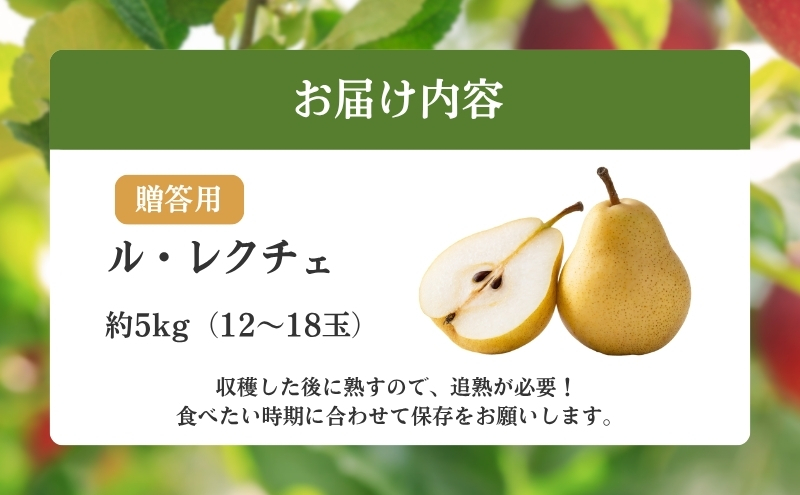 洋梨 長野 贈答用 ル・レクチェ 約5kg （12～18玉） 西洋なし 産地直送 ギフト プレゼント 贈答 贈答品 贈り物 蜜 フルーツ 果物 デザート おやつ 洋ナシ 秋 旬 長野県