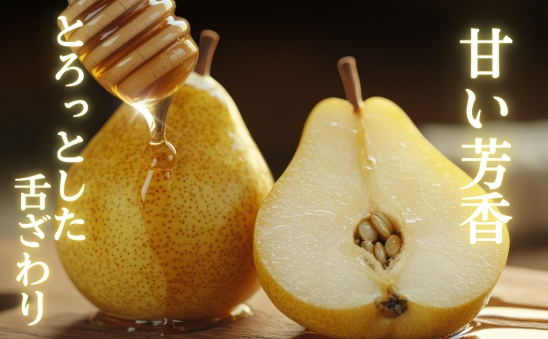 洋梨 長野 贈答用 ル・レクチェ 約5kg （12～18玉） 西洋なし 産地直送 ギフト プレゼント 贈答 贈答品 贈り物 蜜 フルーツ 果物 デザート おやつ 洋ナシ 秋 旬 長野県