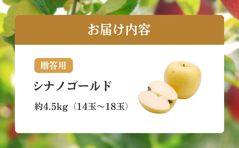 りんご 長野 贈答用 リンゴ シナノゴールド 約4.5kg（14玉〜18玉） 産地直送 ギフト プレゼント 贈答 贈答品 贈り物 フルーツ 果物 デザート おやつ 秋 旬 信州 長野県