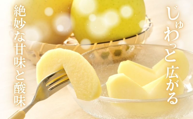 りんご 長野 贈答用 リンゴ シナノゴールド 約4.5kg（14玉〜18玉） 産地直送 ギフト プレゼント 贈答 贈答品 贈り物 フルーツ 果物 デザート おやつ 秋 旬 信州 長野県