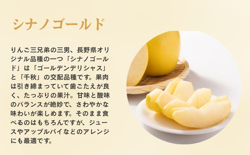 りんご 長野 贈答用 リンゴ シナノゴールド 約4.5kg（14玉〜18玉） 産地直送 ギフト プレゼント 贈答 贈答品 贈り物 フルーツ 果物 デザート おやつ 秋 旬 信州 長野県