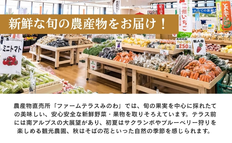 りんご 長野 贈答用 リンゴ シナノゴールド 約4.5kg（14玉～18玉） 産地直送 ギフト プレゼント 贈答 贈答品 贈り物 フルーツ 果物 デザート おやつ 秋 旬 信州 長野県