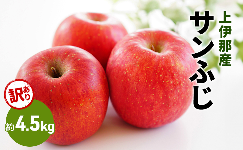 訳あり りんご サンふじ 4.5kg 果物  フルーツ 信州 長野 駒ヶ根市