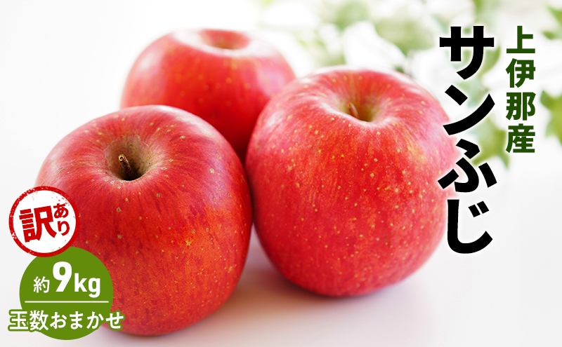 訳あり りんご サンふじ 9kg (玉数おまかせ)  果物 フルーツ 信州 長野 駒ヶ根市