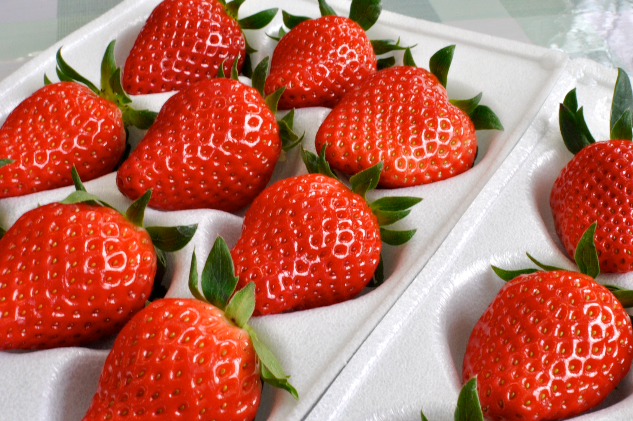 南信州産「いちご」 (300g×4パック)　【伊那森パーク】 果物類 苺 イチゴ