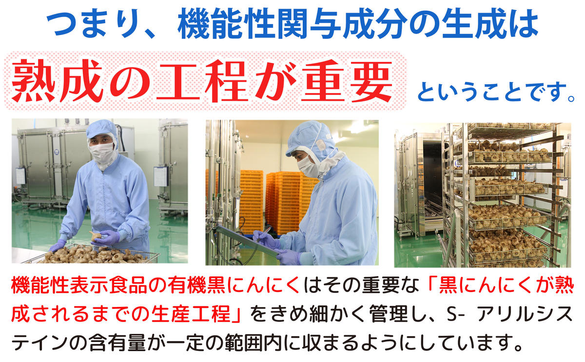 黒にんにく 機能性表示食品 機黒にんにく 120g ×5袋