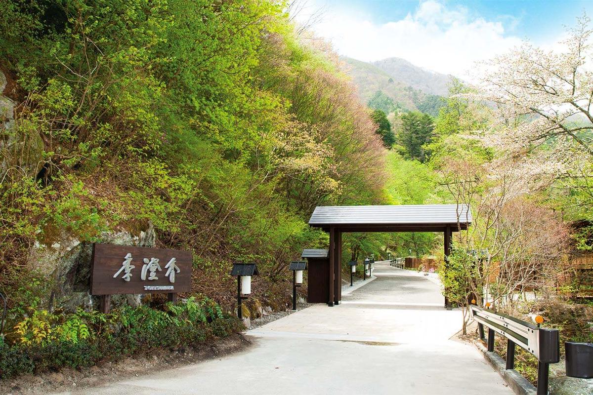 髮螟ァ縺ェ螟ァ閾ェ辟カ縺ィ譁咏炊縺ォ逋偵&繧後k譚懊ョ螳ソ縲悟ュ」貔鬥吶阪ヤ繧、繝ウ縲2蜷肴ァ伜ョソ豕雁虻 譌陦悟虻 繝√こ繝繝