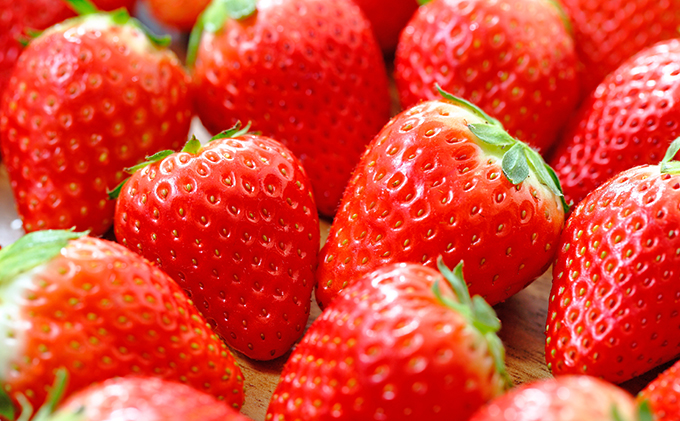 蜊嶺ソ。蟾樒肇縲後>縺。縺斐 (300gテ8繝代ャ繧ッ)縲縲舌Κ繝繧キ繝」繧「鬧偵Ω譬ケ縲 譫懃黄鬘 闍コ 繧、繝√ざ