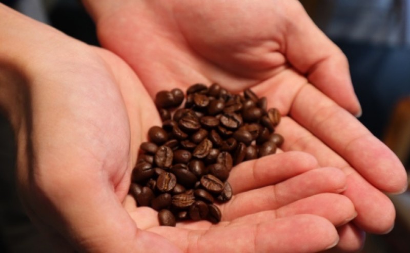 【定期便】スペシャルティコーヒー（200g×5回） コーヒー豆 珈琲豆 5回お届け 計1,000g