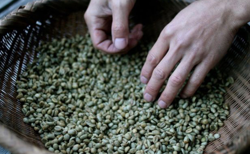 森ã®ããš çç«çç
çç² 300g 飲æé¡ ã³ãŒã㌠çç² ã³ãŒããŒè± çç²è±