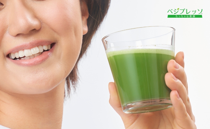 【保存料無添加青汁】サラシア青汁（5g×30包）2個セット 　無添加青汁　デキストリンフリー青汁　デキストリン無添加青汁　粉末青汁　ヘルシー青汁　健康青汁　野菜青汁　植物性青汁　ハラル青汁　ハラール青汁　野菜摂取　駒ヶ根市