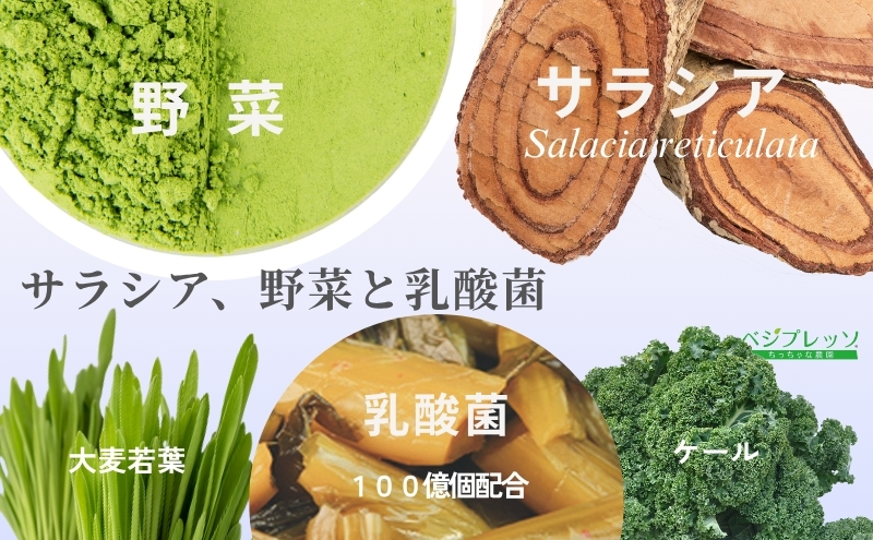 【保存料無添加青汁】サラシア青汁（5g×30包）2個セット 　無添加青汁　デキストリンフリー青汁　デキストリン無添加青汁　粉末青汁　ヘルシー青汁　健康青汁　野菜青汁　植物性青汁　ハラル青汁　ハラール青汁　野菜摂取　駒ヶ根市