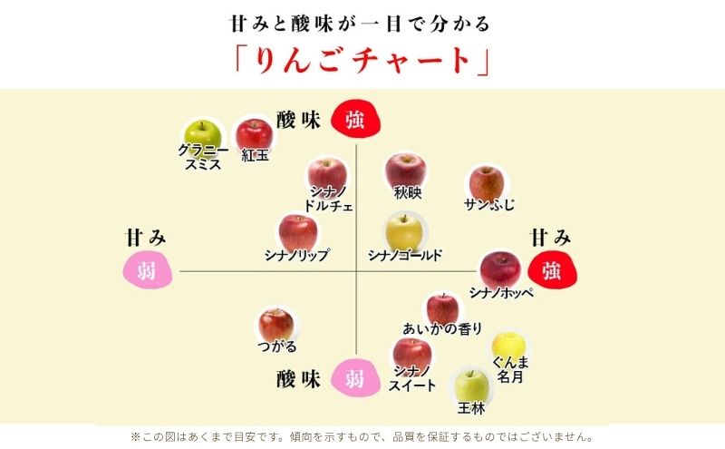 りんご 長野 贈答用 リンゴ ぐんま名月 約4.5kg（14玉～18玉） 産地直送 ギフト プレゼント 贈答 贈答品 贈り物 蜜 フルーツ 果物 デザート 林檎 秋 旬 信州 長野県