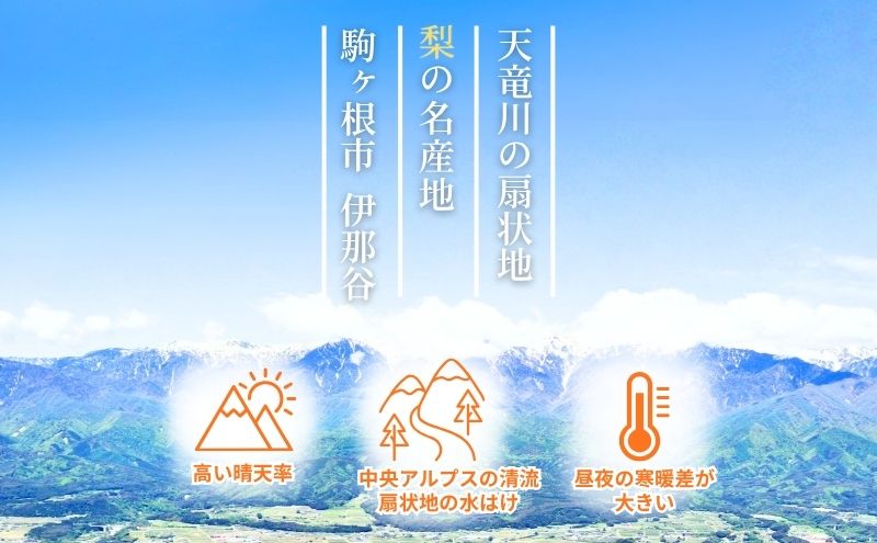 【先行予約】令和8年産 訳あり 南水 梨 4kg (8玉〜12玉)   家庭用 長野県産 なんすい みずみずしい 甘い フルーツ 果物