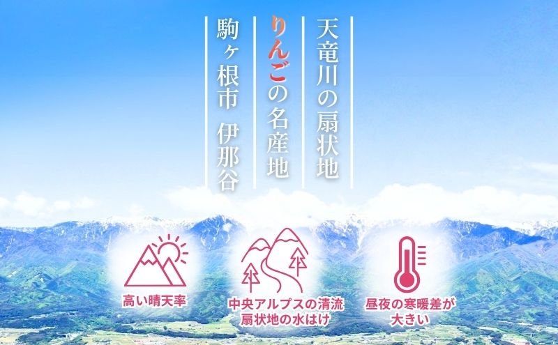 【先行予約】令和8年産 訳あり サンふじ りんご 4.5kg  家庭用 長野産 信州 産地直送 フルーツ 果物 リンゴ さんふじ 林檎