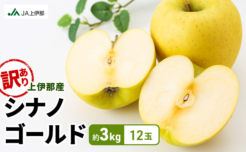 訳あり りんご 長野 リンゴ シナノゴールド 約3kg （12玉） 産地直送  フルーツ 果物 デザート おやつ 林檎 旬 信州 長野県 長野県産 駒ヶ根市 上伊那産