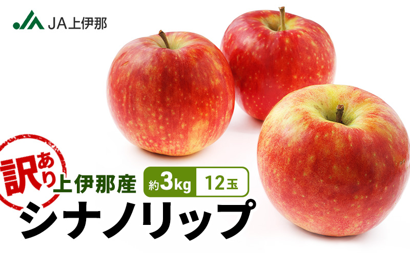 訳あり りんご 長野 リンゴ シナノリップ 約3kg （12玉） 産地直送  フルーツ 果物 デザート おやつ 林檎 旬 信州 長野県 長野県産 駒ヶ根市 上伊那産