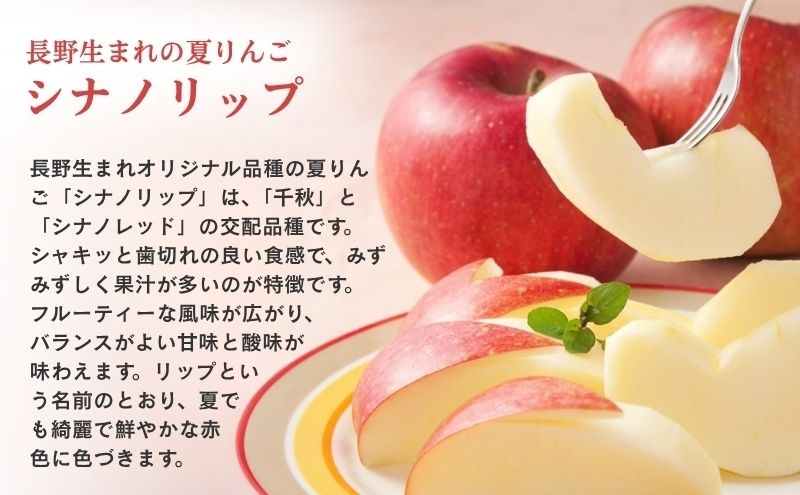 訳あり りんご 長野 リンゴ シナノリップ 約3kg （12玉） 産地直送  フルーツ 果物 デザート おやつ 林檎 旬 信州 長野県 長野県産 駒ヶ根市 上伊那産
