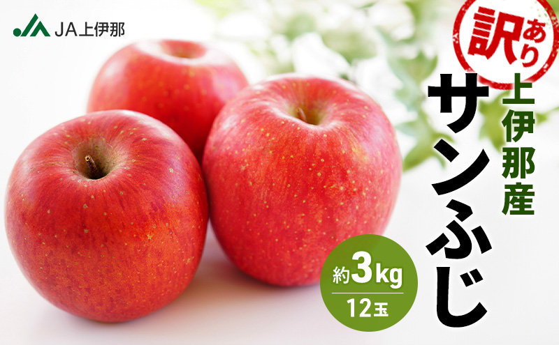 訳あり りんご 長野 リンゴ サンふじ 約3kg （12玉） 産地直送  フルーツ 果物 デザート おやつ 林檎 旬 信州 長野県 長野県産 駒ヶ根市 上伊那産