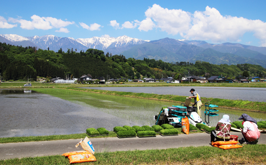 長野県産「あきたこまち」（5kg）【橋本商事】