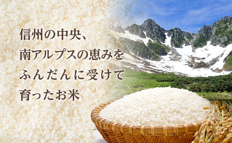 長野県産「コシヒカリ」（10kg）【橋本商事】