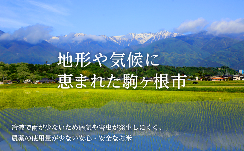 長野県産「コシヒカリ」（10kg）【橋本商事】