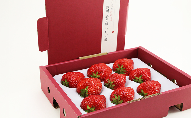 【特選贈答用】南信州産「いちご」（9粒・450g）【信州駒ヶ根いちご園】 果物類 苺 イチゴ