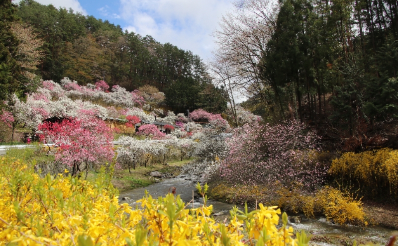 長野県駒ヶ根市　日本旅行　地域限定旅行クーポン30,000円分 チケット 