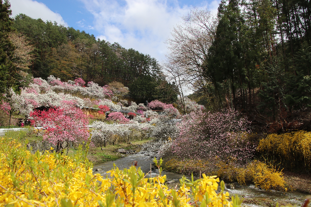 【長野県駒ヶ根市】日本旅行「地域限定旅行クーポン」（150,000円分）