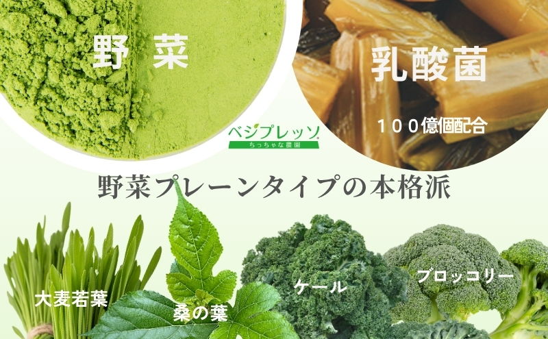 【無添加青汁】本格青汁（3g×30包） 無添加青汁 デキストリンフリー青汁 デキストリン無添加青汁 粉末青汁 ヘルシー青汁 健康青汁 野菜青汁 植物性青汁 駒ヶ根市