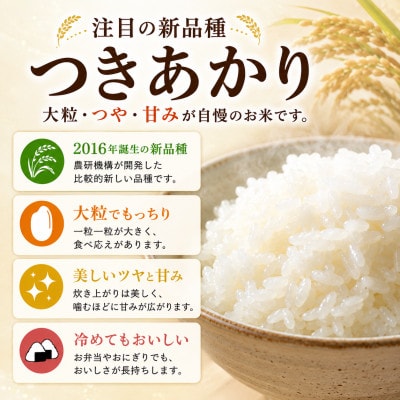 ã€ããããã粟米ã10kg(5kgÃ2è¢)ã1748983ã