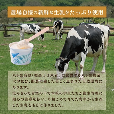 八ヶ岳農場 生ソフトクリームアイス 18個【配送不可地域：離島】【1600537】