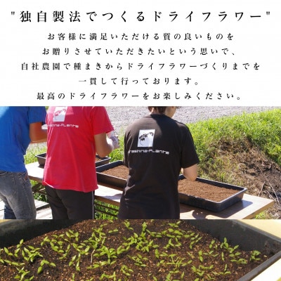 ä¿¡å·å
«ã¶å²³ã®éºããèŽãããã¥ã©ã«ã¹ã¯ãã° M(ã€ãšããŒ)ã1662289ã