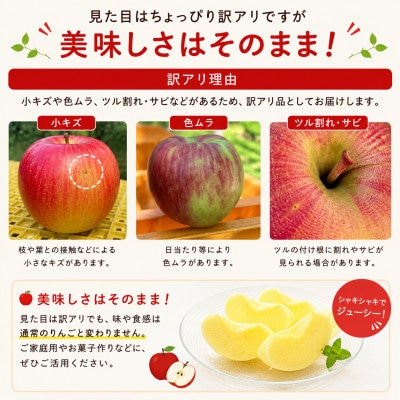 旬の品種お任せ【訳アリ】茅野市産りんご3kg(8〜10玉)【配送不可地域：離島・沖縄県】【1780258】