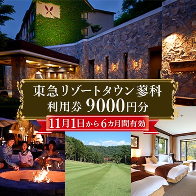 東急リゾートタウン蓼科利用券(1,000円分×9枚)2026年11月1日から6か月間有効チケット【1421782】