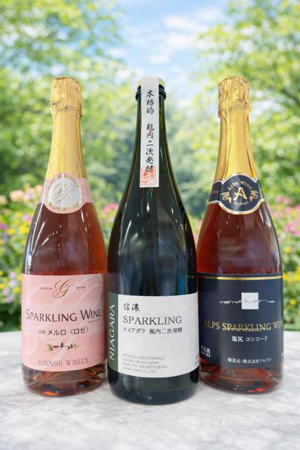 特別な日の乾杯を塩尻で。スパークリング飲み比べ3本セット | ワイン わいん ワイン スパークリングワイン お酒 おさけ 酒 さけ メルロ ロゼ ナイアガラ コンコード 五一わいん 林農園 アルプス 信濃ワイン 塩尻市 長野県 信州