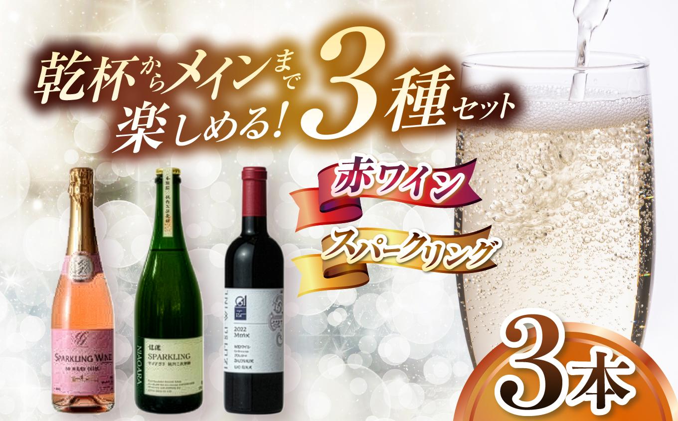 乾杯からメインまで楽しめる特別セレクト はじめての塩尻スパークリング＆赤ワイン3本セット | ワイン わいん ワイン スパークリングワイン 赤 お酒 おさけ 酒 さけ メルロ ロゼ ナイアガラ 五一わいん 林農園 アルプス 井筒ワイン 塩尻市 長野県 信州
