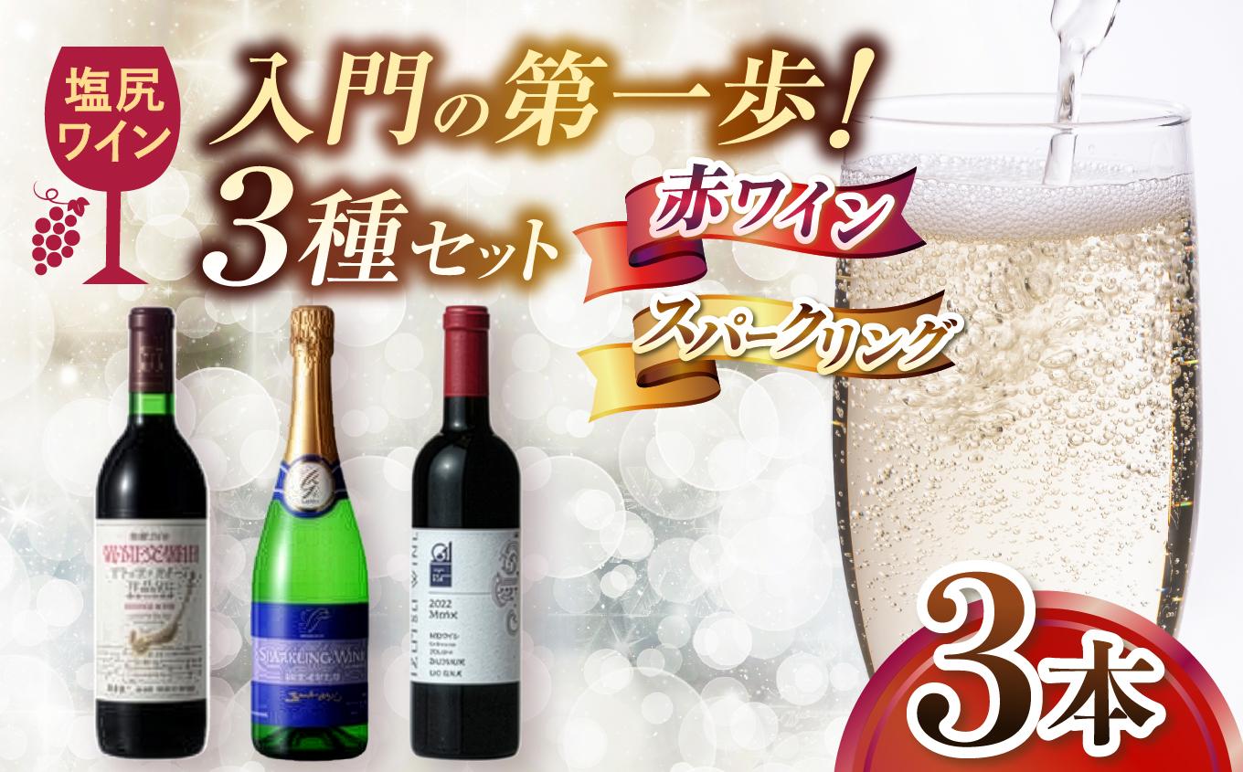 塩尻ワイン入門の第一歩 はじめての塩尻ワイン3本セット | ワイン わいん ワイン スパークリングワイン 赤 お酒 おさけ 酒 さけ メルロ ナイアガラ ブラッククイーン 五一わいん 林農園 アルプス 井筒ワイン 塩尻市 長野県 信州