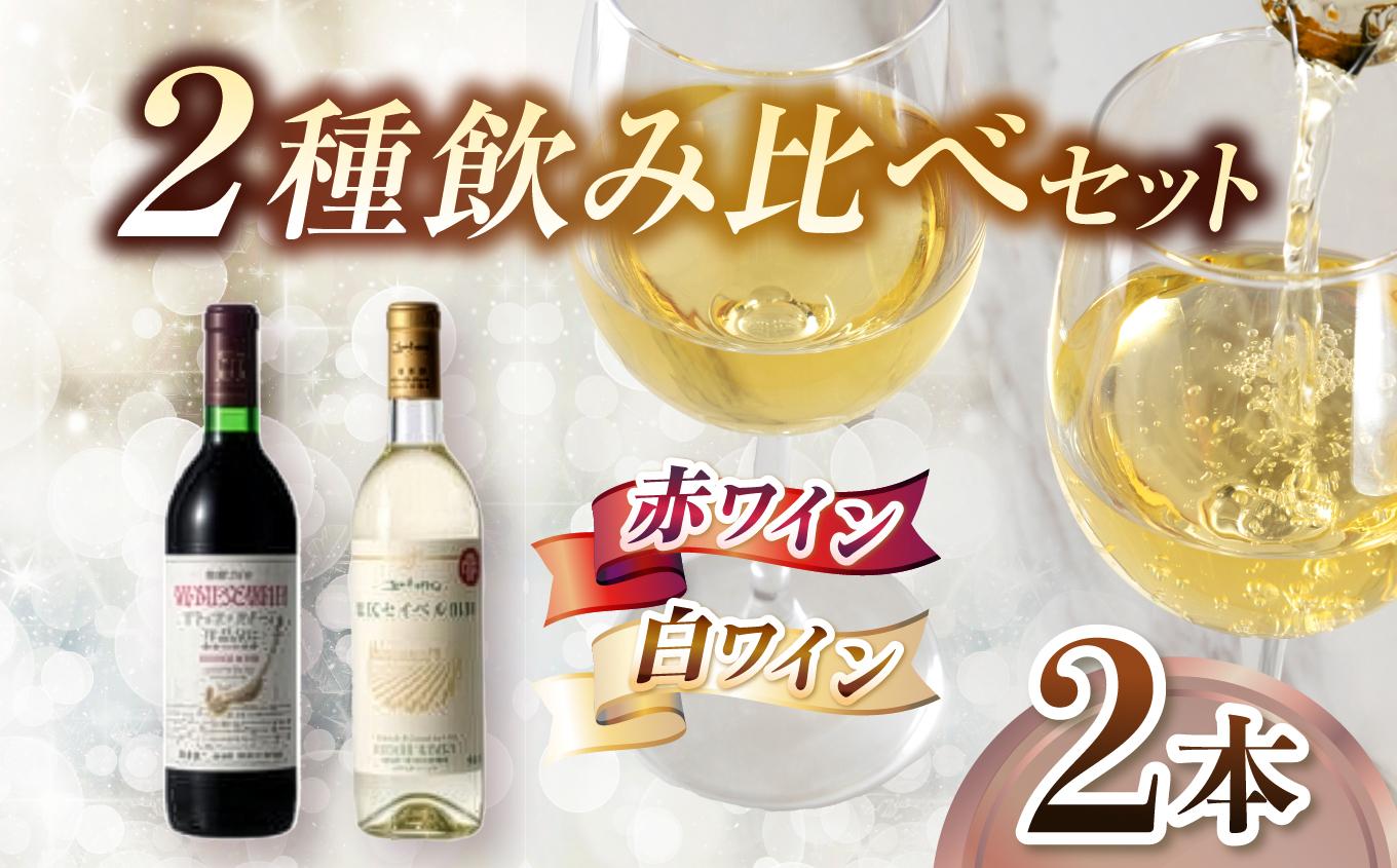 シンプルに味わう塩尻の王道 赤白飲み比べ2本セット | ワイン わいん ワイン 白 赤 お酒 おさけ 酒 さけ ブラッククイーン セイベル 五一わいん 林農園 信濃ワイン 塩尻市 長野県 信州