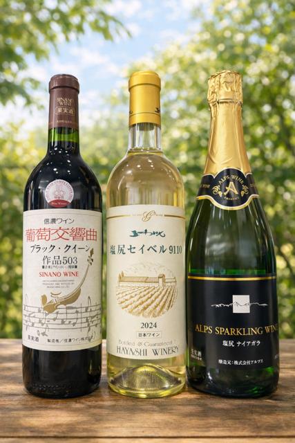 果実味を楽しむ やさしい塩尻体験 フルーティ飲み比べ3本セット | ワイン わいん ワイン 白 赤 スパークリング お酒 おさけ 酒 さけ ナイヤガラ セイベル ブラッククイーン 五一わいん 林農園 信濃ワイン 塩尻市 長野県 信州