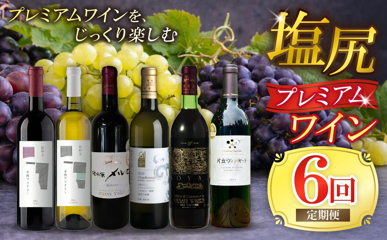 塩尻プレミアムワイン定期便【全6回】 | ワイン わいん 塩尻ワイン プレミアム 白 白ワイン 赤 赤ワイン 定期便 飲み比べ お酒 おさけ 酒 さけ メルロ シャルドネ シャトー・メルシャン 樽熟 五一わいん 幸西ワイナリー 井筒ワイン 塩尻市 長野県 信州
