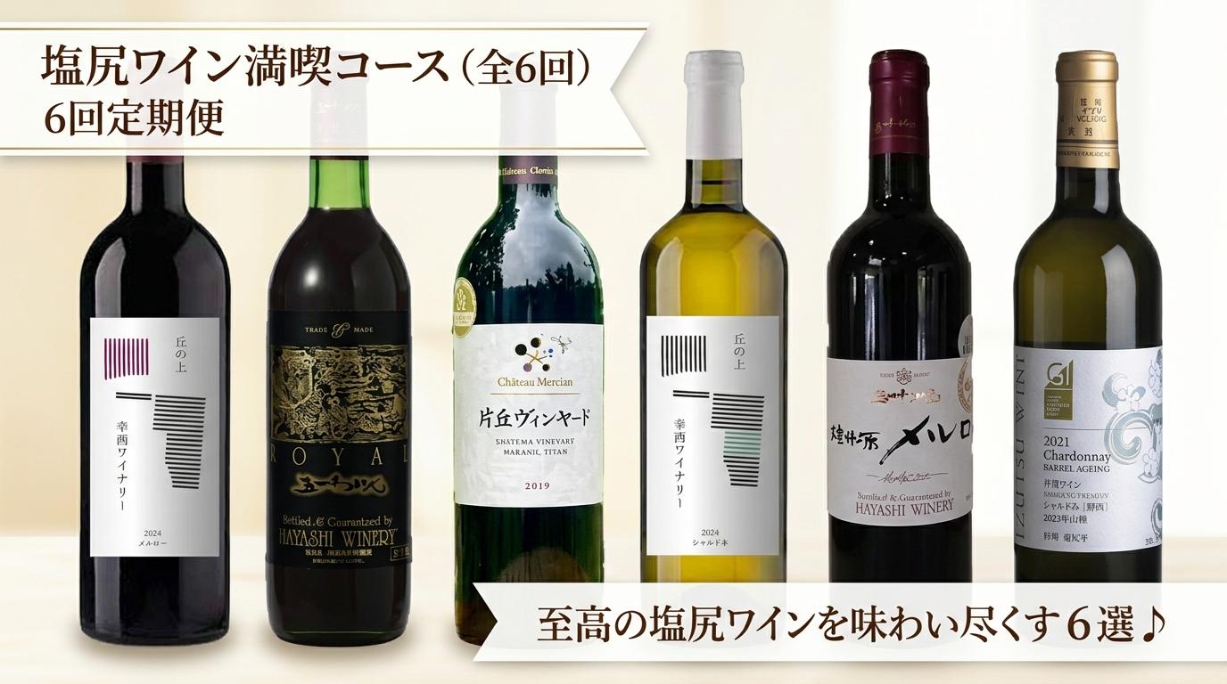 塩尻プレミアムワイン定期便[全6回] | ワイン わいん 塩尻ワイン プレミアム 白 白ワイン 赤 赤ワイン 定期便 飲み比べ お酒 おさけ 酒 さけ メルロ シャルドネ シャトー・メルシャン 樽熟 五一わいん 幸西ワイナリー 井筒ワイン 塩尻市 長野県 信州