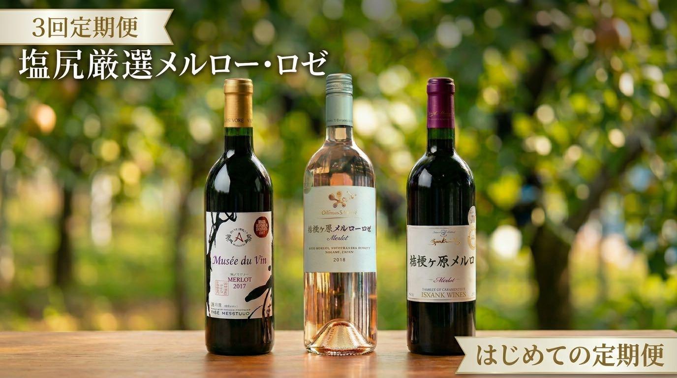 塩尻ワイン はじめての3回定期便 | ワイン わいん 塩尻ワイン ロゼ 赤ワイン 定期便 お酒 おさけ 酒 さけ メルロ メルロー 飲み比べ シャトー・メルシャン 五一わいん 塩尻市 長野県 信州