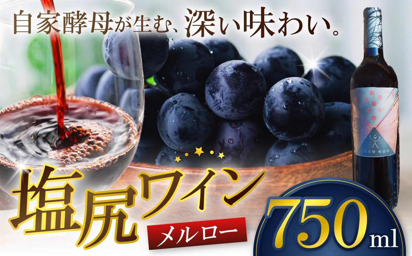霧訪山シードル 塩尻市産 メルロー | 塩尻ワイン ワイン 赤 メルロー 霧訪山シードル 無添加 無濾過 酒 長野県 塩尻市