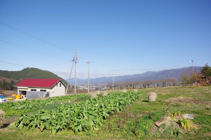 霧訪山シードル 塩尻市産 メルロー | 塩尻ワイン ワイン 赤 メルロー 霧訪山シードル 無添加 無濾過 酒 長野県 塩尻市