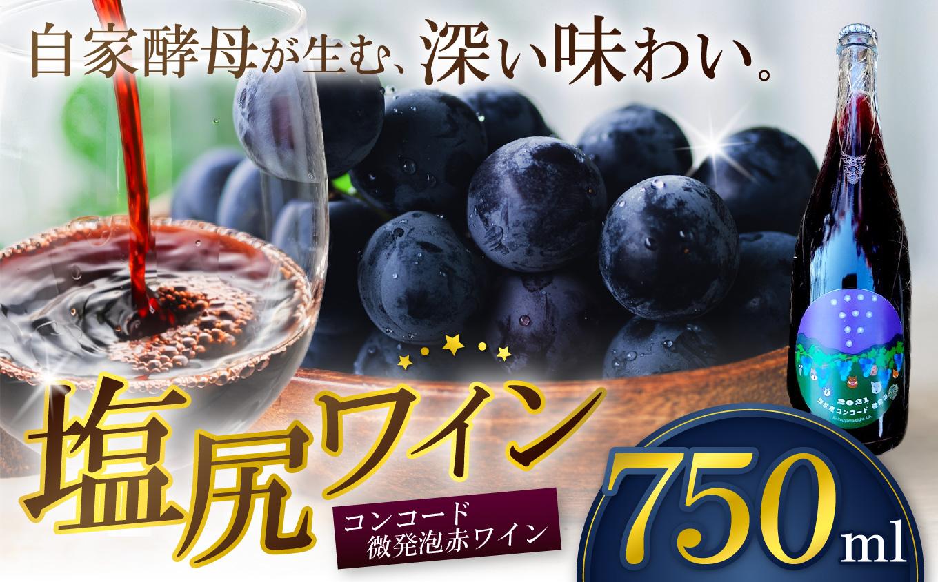 霧訪山シードル 塩尻市産コンコード100% 赤微発泡 | 塩尻ワイン ワイン コンコード 微発砲 霧訪山シードル 無添加 無濾過 酒 長野県 塩尻市