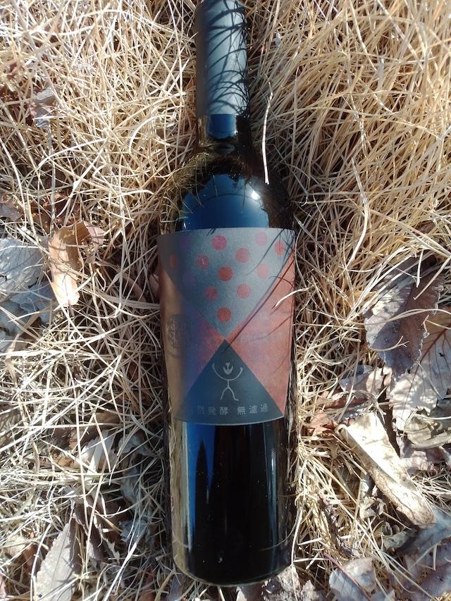 霧訪山シードル ワイン飲み比べ2本セット（メルロー/ピノ・グリ） | 塩尻ワイン ワイン メルロー ピノ・グリ 霧訪山シードル 無添加 無濾過 酒 長野県 塩尻市