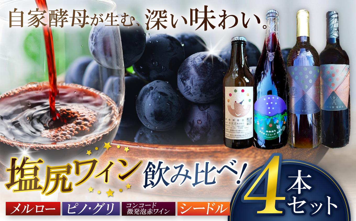 霧訪山シードル 塩尻市産ワイン4本飲み比べセット（メルロー／ピノ・グリ／コンコード／林檎（シードル）） | 塩尻ワイン ワイン 赤 メルロー ピノ・グリ コンコード りんご 微発砲 シードル 霧訪山シードル 無添加 無濾過 酒 長野県 塩尻市