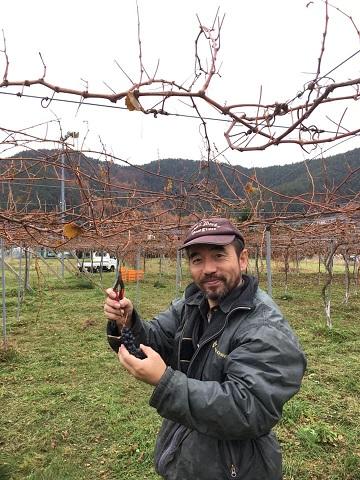 霧訪山シードル 塩尻市産ワイン4本飲み比べセット（メルロー／ピノ・グリ／コンコード／林檎（シードル）） | 塩尻ワイン ワイン 赤 メルロー ピノ・グリ コンコード りんご 微発砲 シードル 霧訪山シードル 無添加 無濾過 酒 長野県 塩尻市